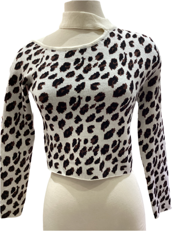 Animal Print Sweater