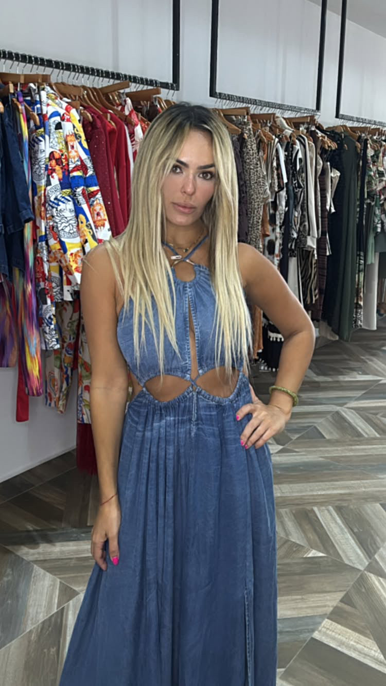 Rebba Denim Dress