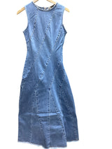 Rita Denim Dress