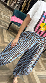 Blue /Brown Stripe Pants