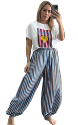 Blue /Brown Stripe Pants